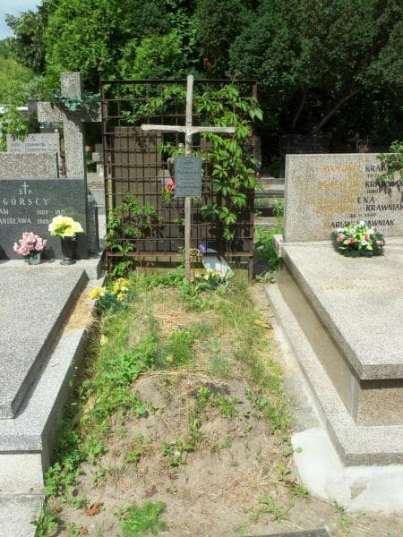Zdjęcie grobu Witold Paszkowski (1)