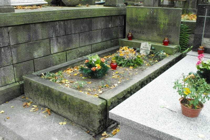 Zdjęcie grobu Krystyna Biernacka (1)