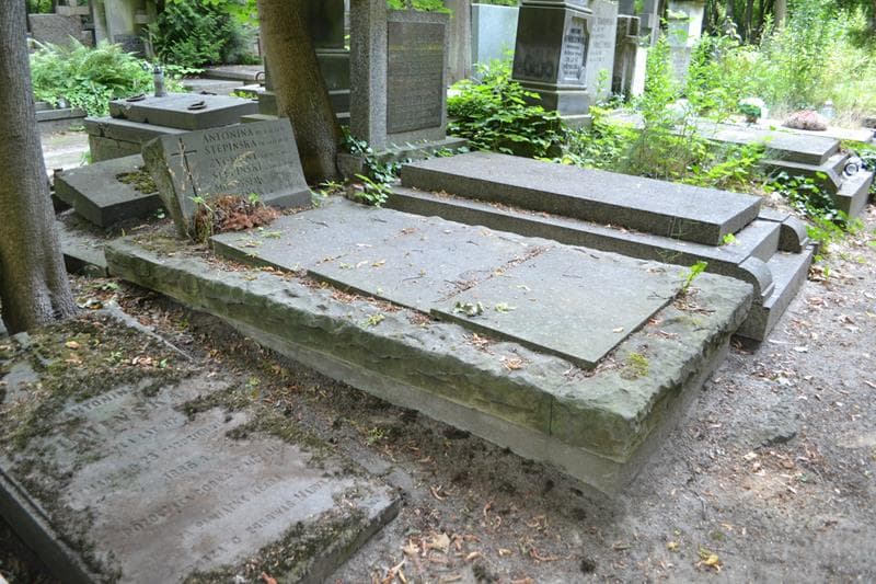 Zdjęcie grobu: Zygmunt Stępiński