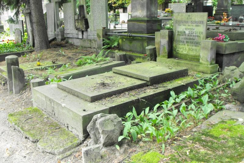 Zdjęcie grobu Eugenia Markiewicz (2)