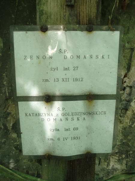 Zdjęcie grobu Zenon Domański (2)