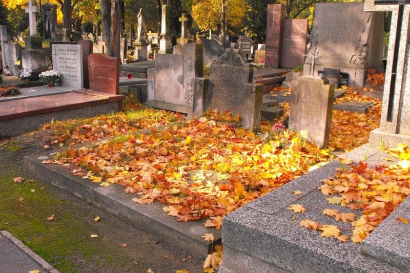 Zdjęcie grobu Czesława Agnieszka Kunkel (1)