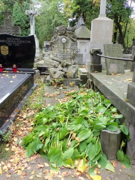 Zdjęcie grobu: Ludwik Walicki