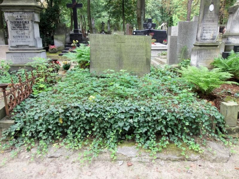 Zdjęcie grobu: Eugenia Pietruszyńska