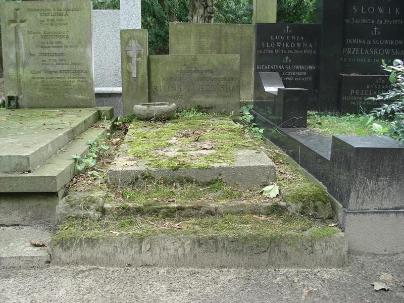 Zdjęcie grobu: Marian Biliński