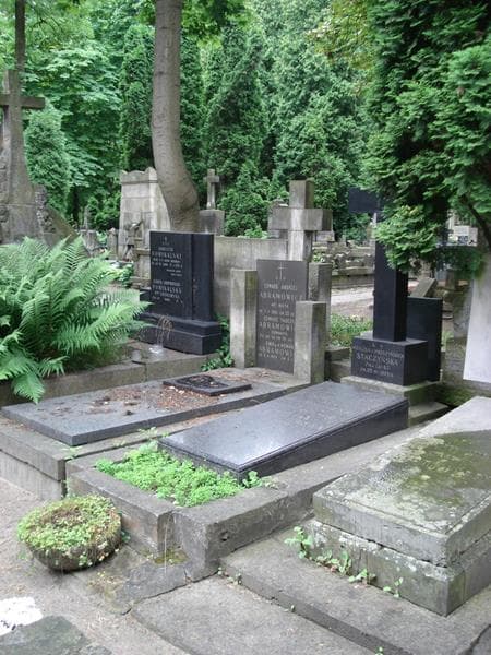 Zdjęcie grobu: Adam Lewandowski