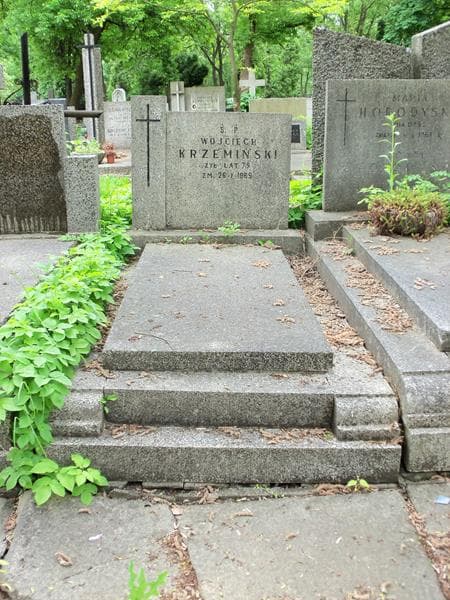 Zdjęcie grobu: Wojciech Krzemiński