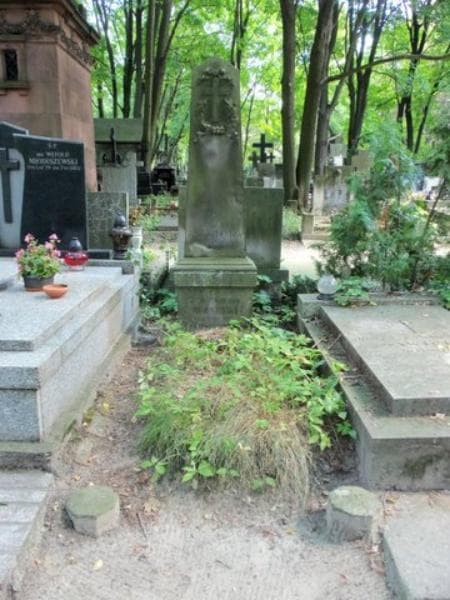 Zdjęcie grobu: Teofil Stanisław Wąsicki