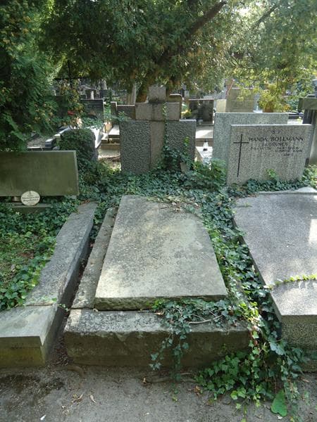 Zdjęcie grobu: Henryk Stryjewski