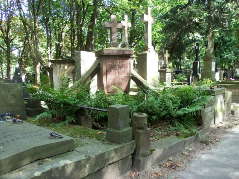 Zdjęcie grobu Tekla Wolska (1)