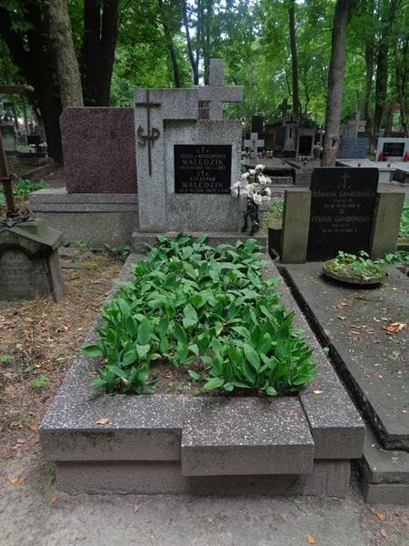 Zdjęcie grobu Szczepan Walędzik (1)