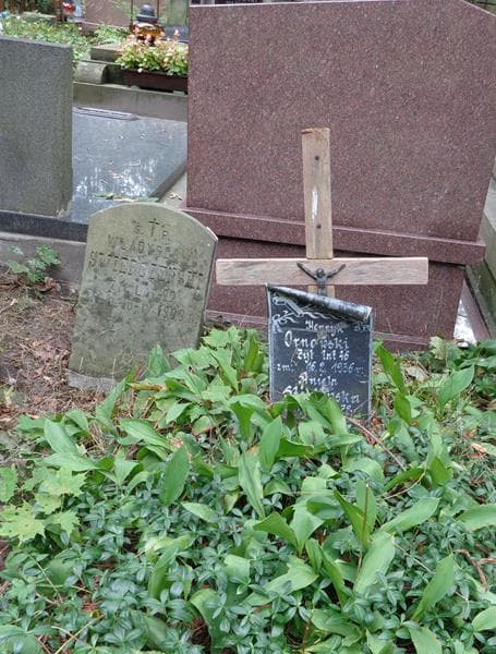 Zdjęcie grobu Henryk Ornowski (1)