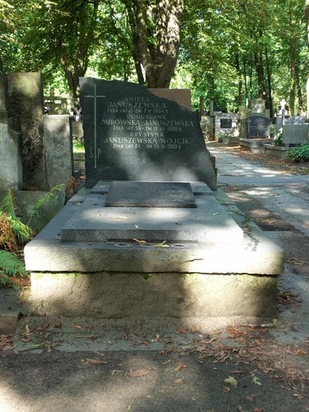 Zdjęcie grobu: Konstanty Januszewski