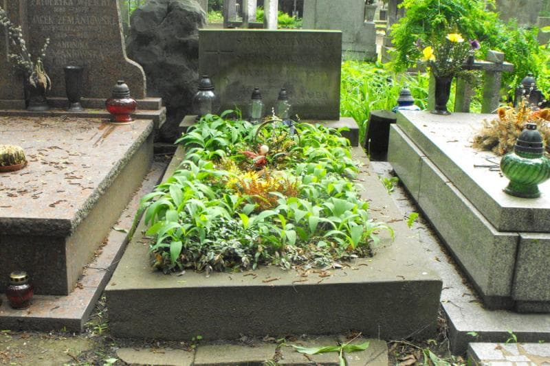 Zdjęcie grobu: Józef Chudoba