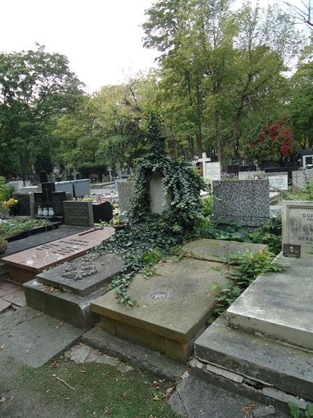 Zdjęcie grobu Stanisław Krzemiński (1)