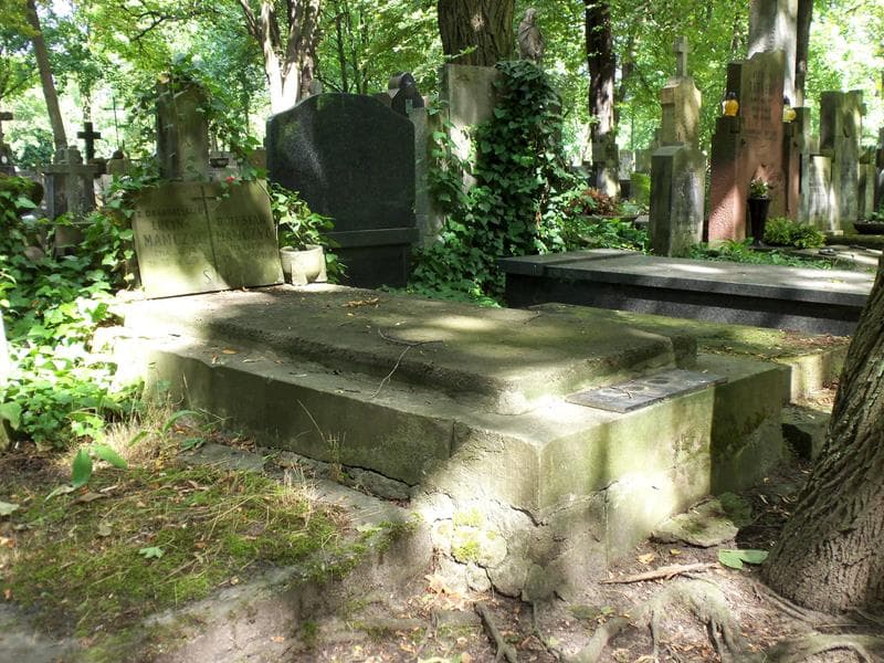 Zdjęcie grobu Bolesław Mamczyc (1)