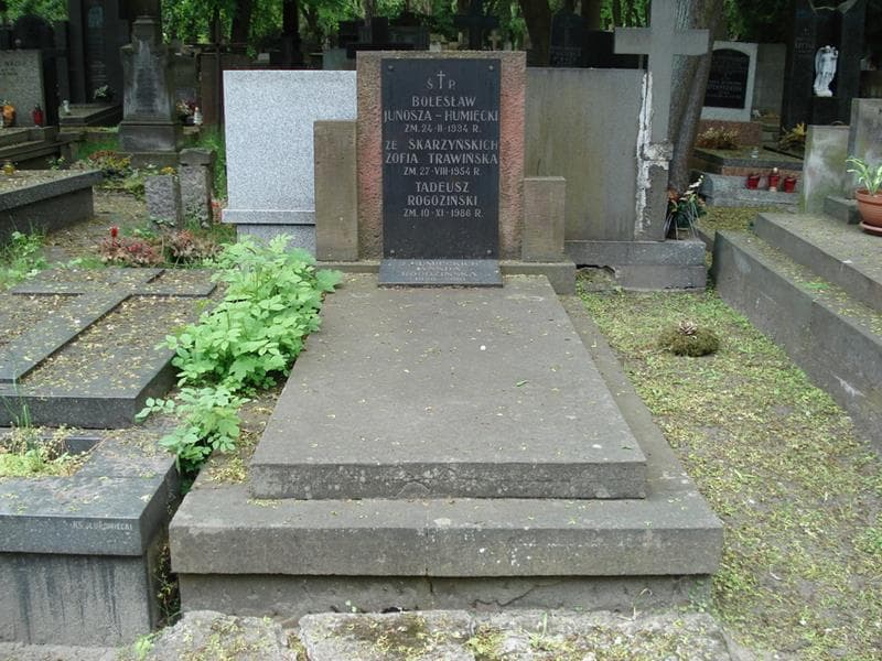 Zdjęcie grobu Zofia Trawińska (1)