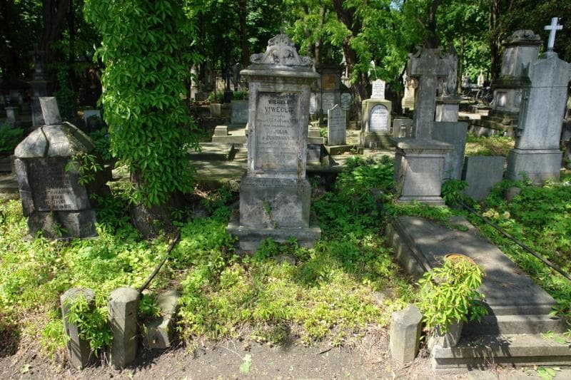 Zdjęcie grobu Wilhelm Viweger (1)