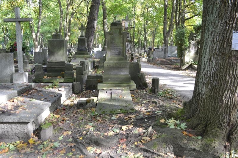 Zdjęcie grobu Stefuś Dybek (1)
