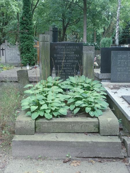 Zdjęcie grobu: Teodor Górecki