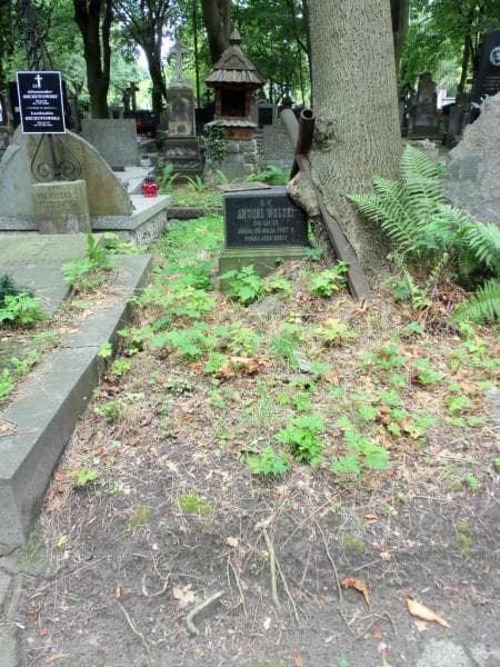 Zdjęcie grobu Antoni Wolski (1)