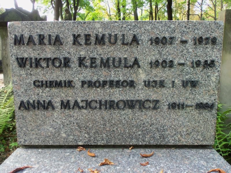Zdjęcie grobu Anna Majchrowicz (2)