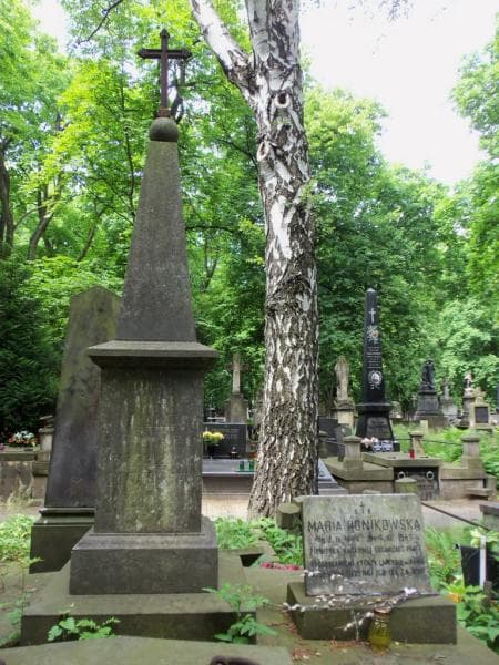 Zdjęcie grobu Wacław Ponikowski (2)