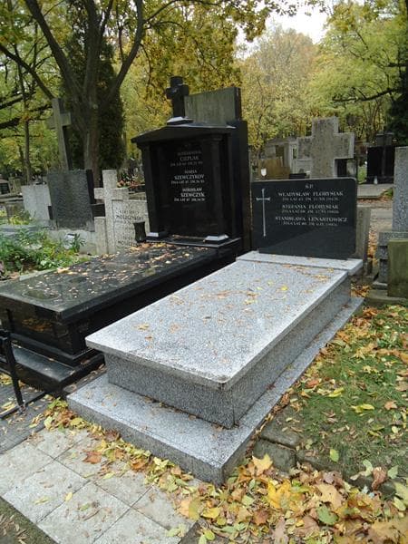 Zdjęcie grobu Stanisława Lenartowicz (1)