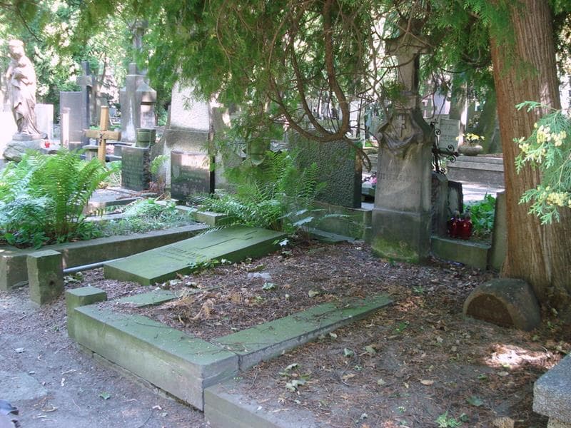 Zdjęcie grobu: Stanisława Niesłuchowska