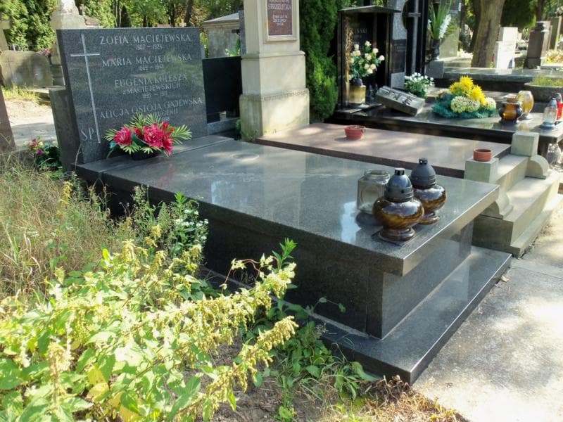 Zdjęcie grobu Zofia Maciejewska (1)