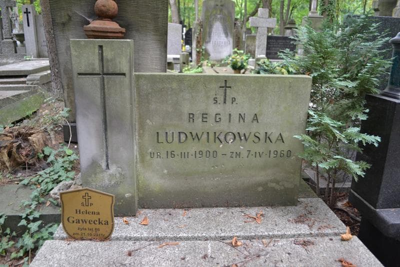 Zdjęcie grobu Regina Ludwikowska (2)