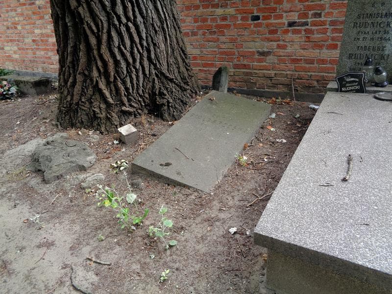 Zdjęcie grobu: Zofia Białobrzeska