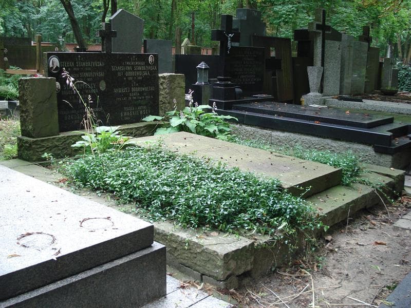 Zdjęcie grobu Teofila Kwaśniewska (1)