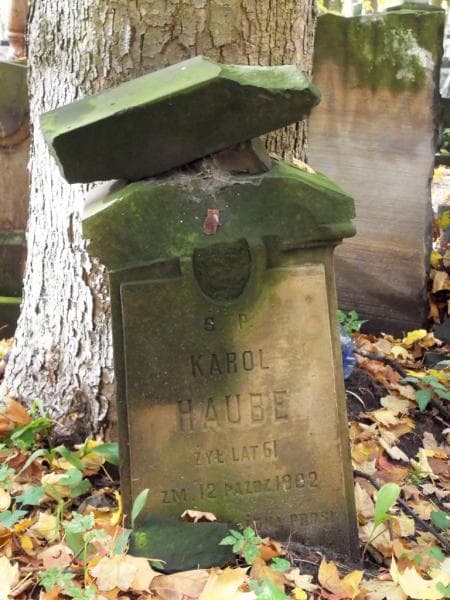 Zdjęcie grobu Karol Haube (1)