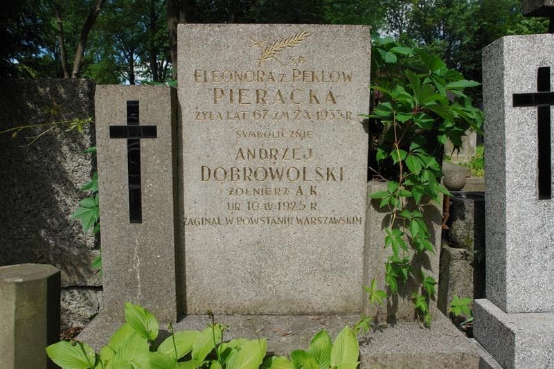 Zdjęcie grobu Eleonora Pieracka (2)