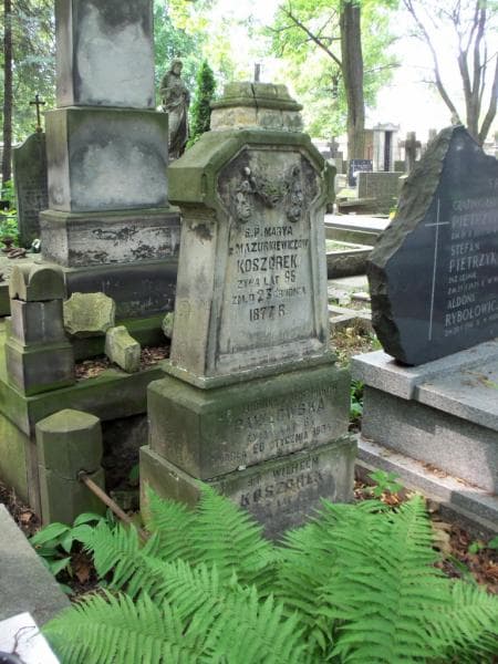 Zdjęcie grobu Ludwika Pawłowska (2)