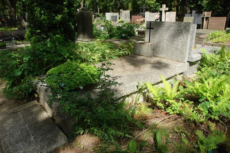 Zdjęcie grobu: Maria Lewandowska