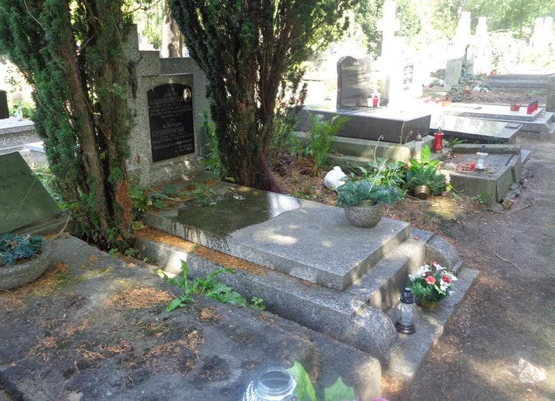 Zdjęcie grobu: Władysław Gąsiorowski