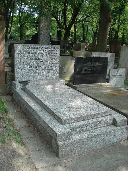 Zdjęcie grobu Bronisław Cieślak (1)