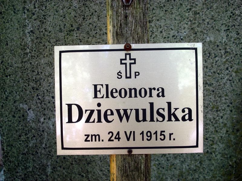 Zdjęcie grobu Eleonora Dziewulska (2)