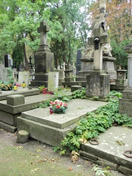 Zdjęcie grobu Elżbieta Drouet (1)