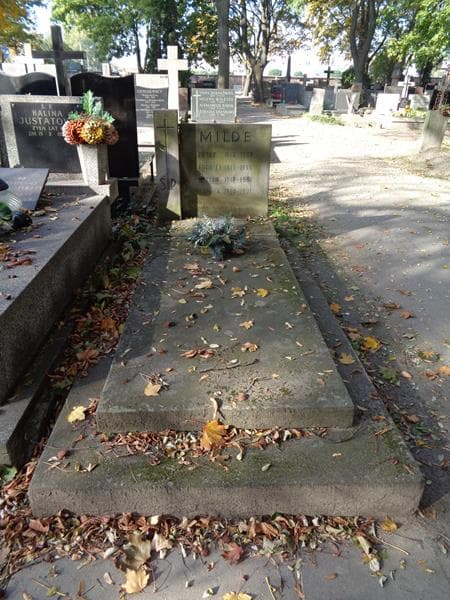 Zdjęcie grobu Witold Milde (1)
