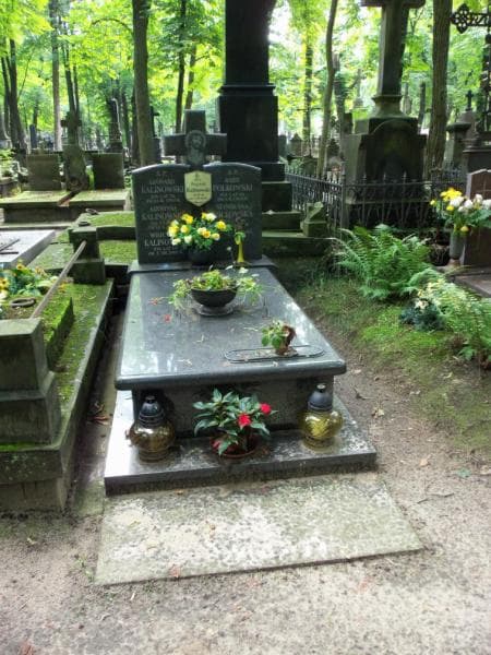 Zdjęcie grobu: Stanisława Polkowska
