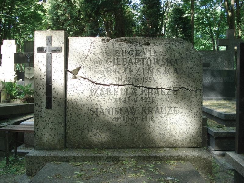Zdjęcie grobu Eugenia Brzezińska (1)