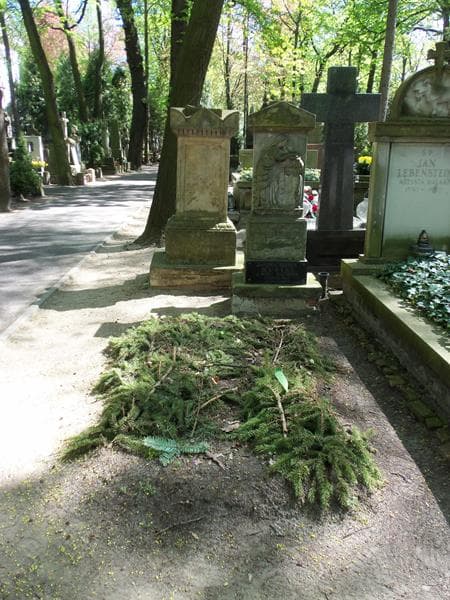 Zdjęcie grobu: Paulina Naimska