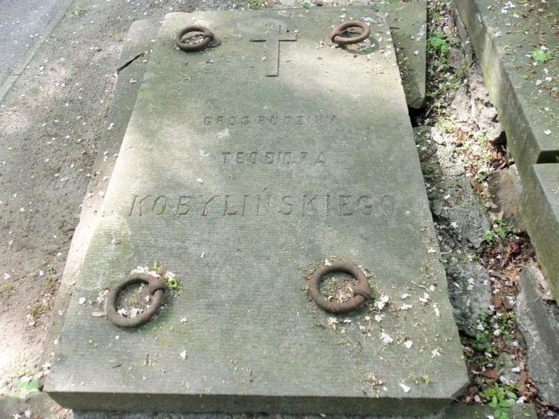Zdjęcie grobu Teodor Kobyliński (2)