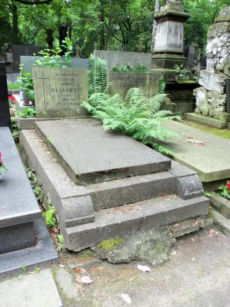 Zdjęcie grobu Józefina Ossolińska (1)