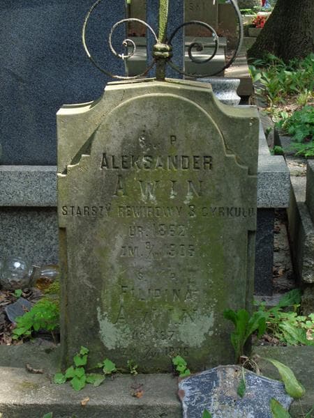 Zdjęcie grobu Aleksander Awin (2)