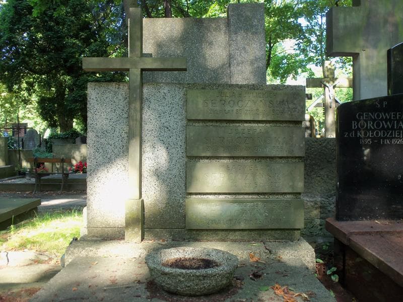 Zdjęcie grobu Władysław Seroczyński (2)