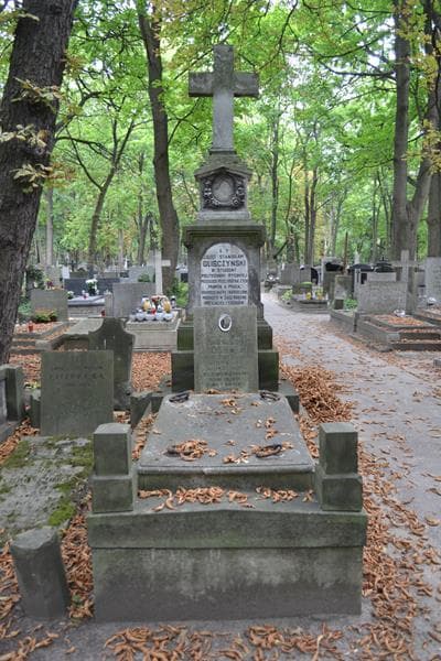 Zdjęcie grobu Eugnejusz Arciszewski (1)